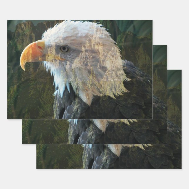 Bald Eagle Mountain Wrapping Paper Sheets (Set)
