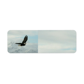 Bald Eagle & mountains Label