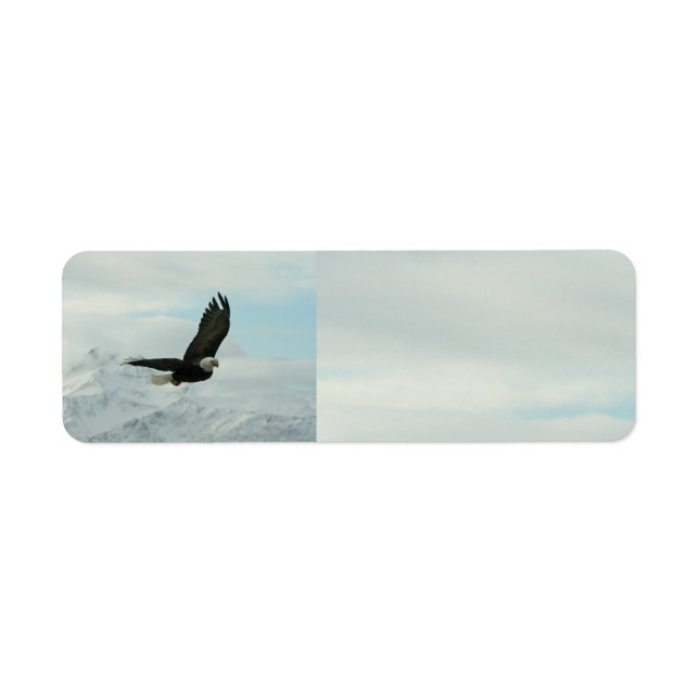 Bald Eagle & mountains Label (Front)