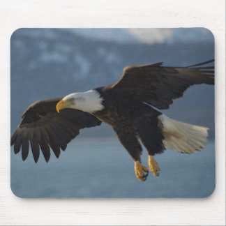 Bald Eagle Mouse Pad