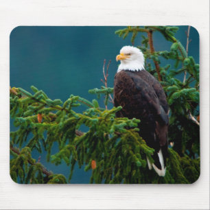 Bald Eagle Mouse Pad