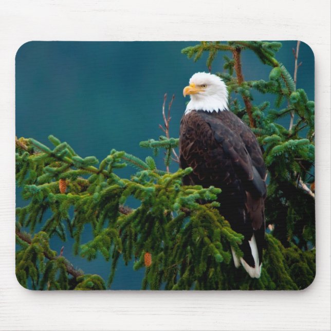 Bald Eagle Mouse Pad (Front)