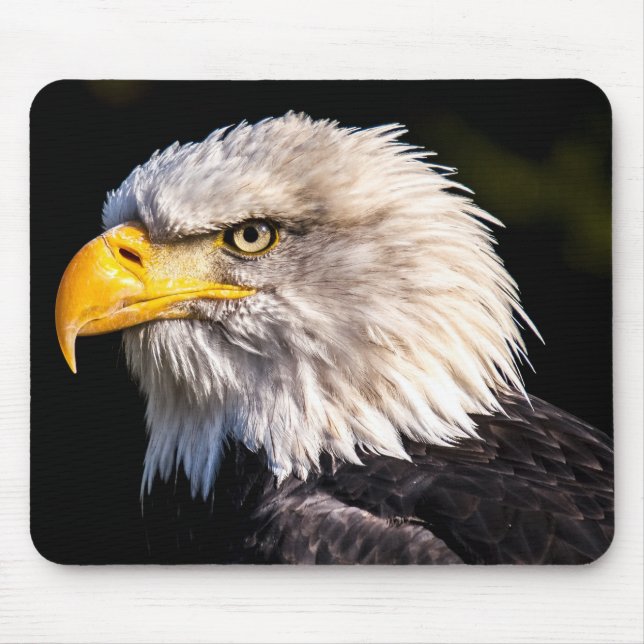 Bald Eagle Mouse Pad (Front)