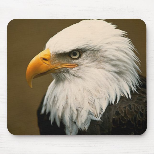 bald eagle mouse pad (Front)