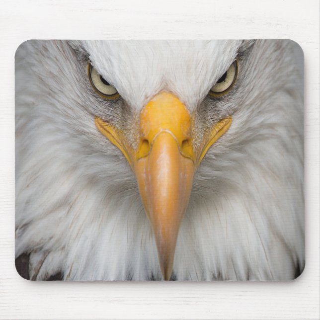 Bald Eagle Mouse Pad (Front)