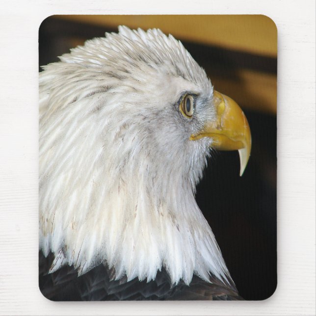 Bald Eagle Mouse Pad (Front)