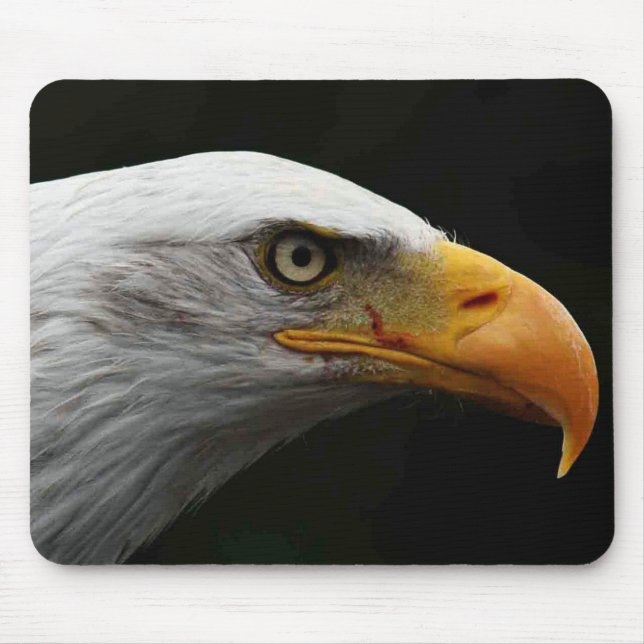 Bald Eagle mpa Mouse Pad (Front)