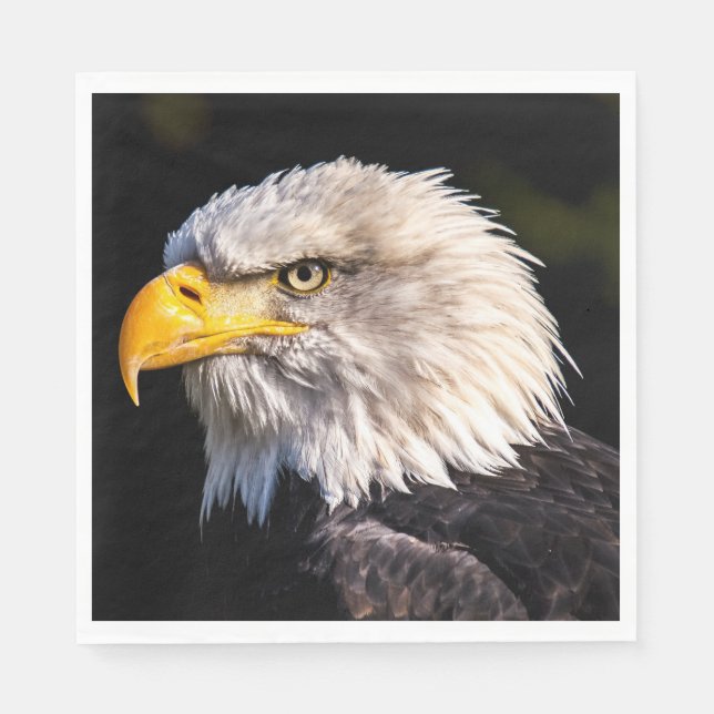Bald Eagle Napkins (Front)