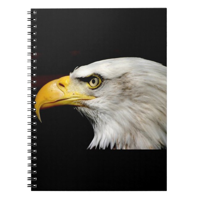 Bald Eagle Notebook (Front)