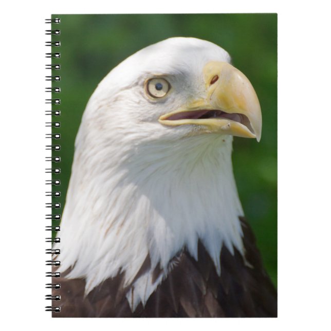 Bald Eagle Notebook (Front)