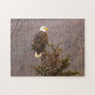 Bald Eagle Nova Scotia Canada. Jigsaw Puzzle