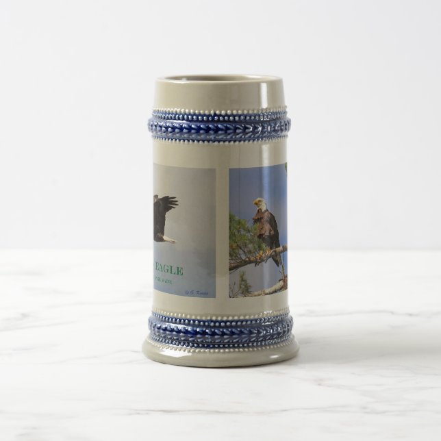 Bald Eagle of Sebago Stein (Center)