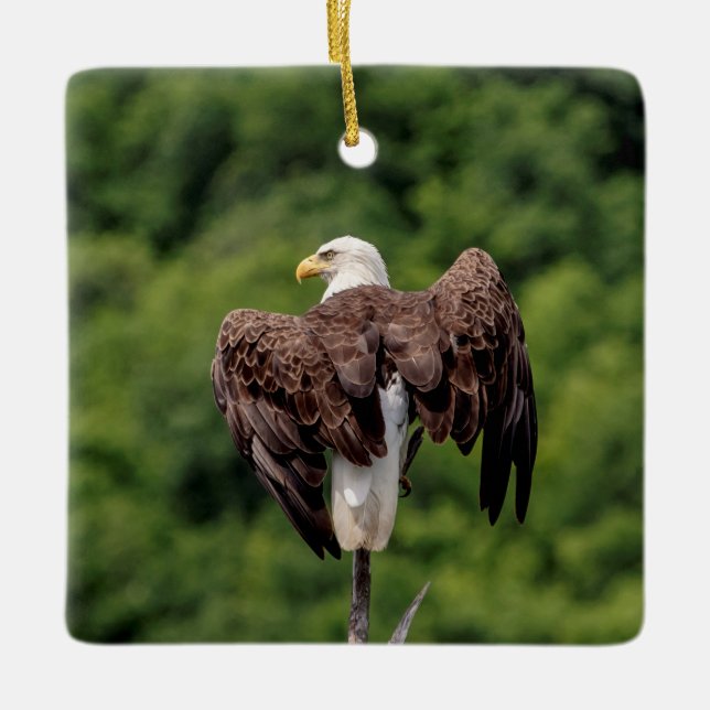 Bald Eagle on a branch Ceramic Ornament (Front)