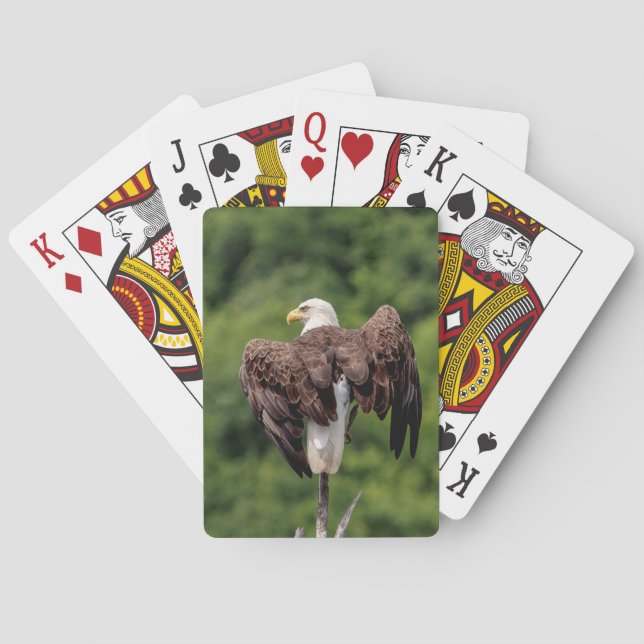 Bald Eagle on a branch Poker Cards (Back)