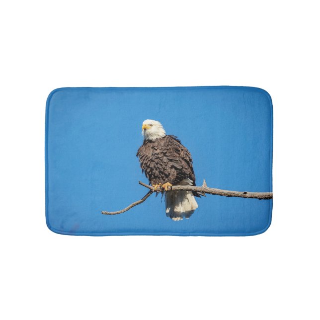Bald Eagle on a tree branch Bathroom Mat (Front)
