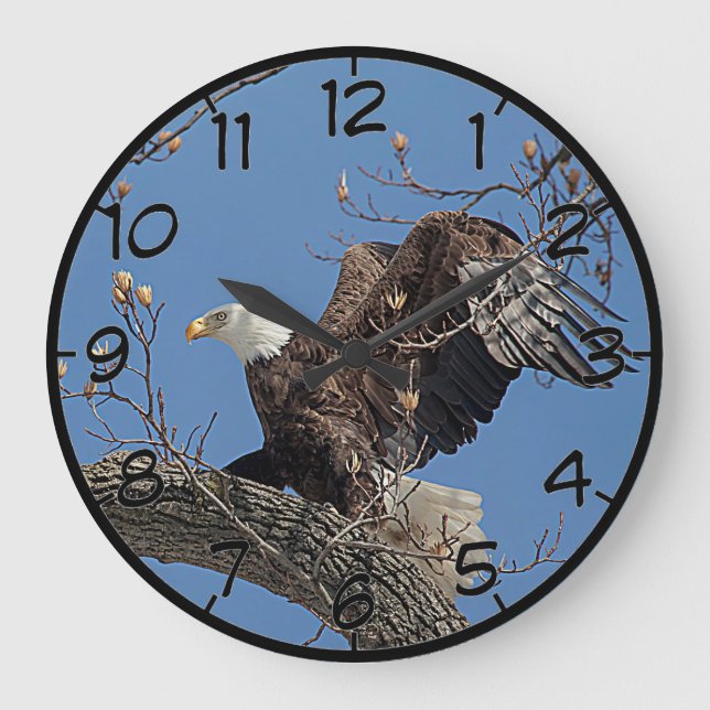 Bald Eagle on a tree branch Large Clock (Front)