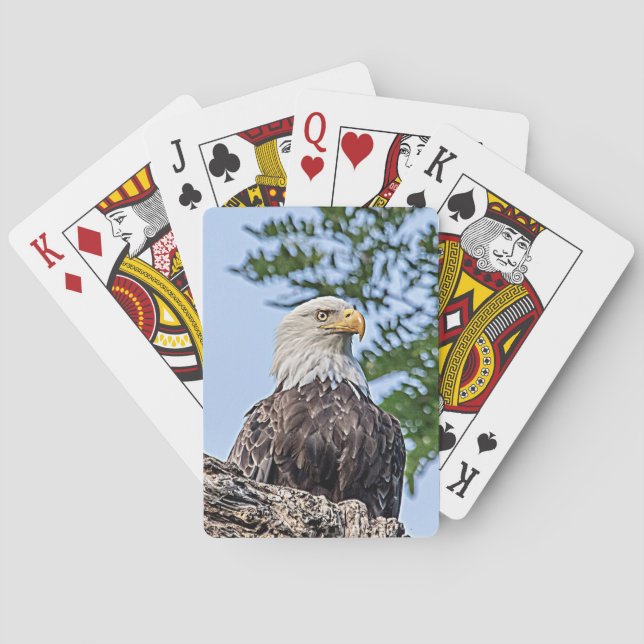 Bald Eagle on a tree branch Poker Cards (Back)