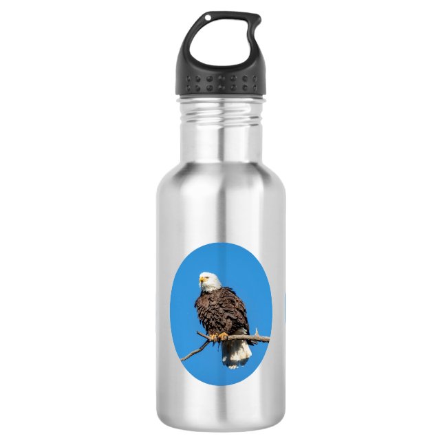 Bald Eagle on a tree branch Water Bottle (Front)