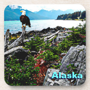 Bald Eagle On Alaska Coast Beverage Coaster