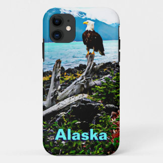 Bald Eagle On Alaska Coast iPhone 11 Case