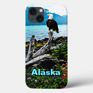 Bald Eagle On Alaska Coast iPhone 13 Case