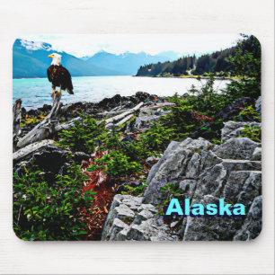 Bald Eagle On Alaska Coast Mouse Pad