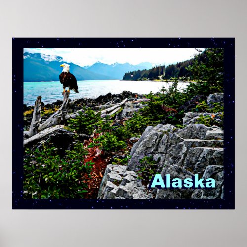 Bald Eagle On Alaska Coast Poster