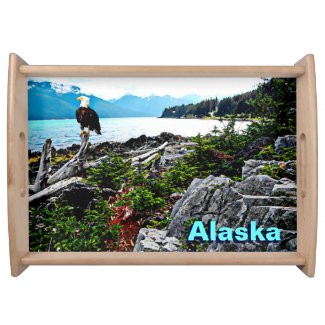 Bald Eagle On Alaska Coast