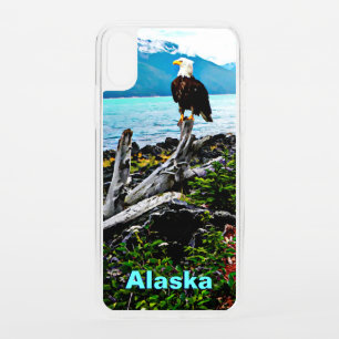 Bald Eagle On Alaska Coast iPhone XS Case
