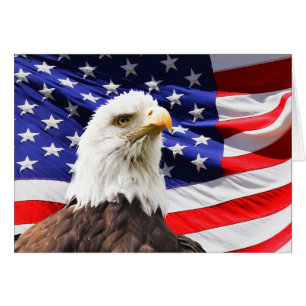 Bald Eagle On American Flag Cards
