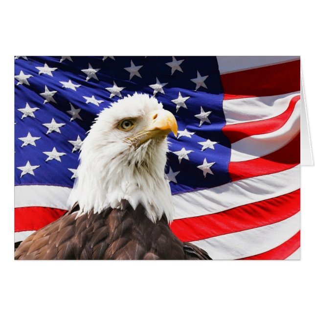 Bald Eagle On American Flag Cards (Front Horizontal)