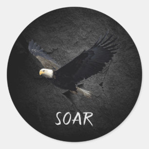 Bald Eagle on black rock Classic Round Sticker