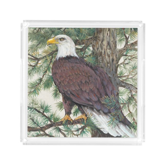Bald Eagle on Branch Acrylic Tray (Front)