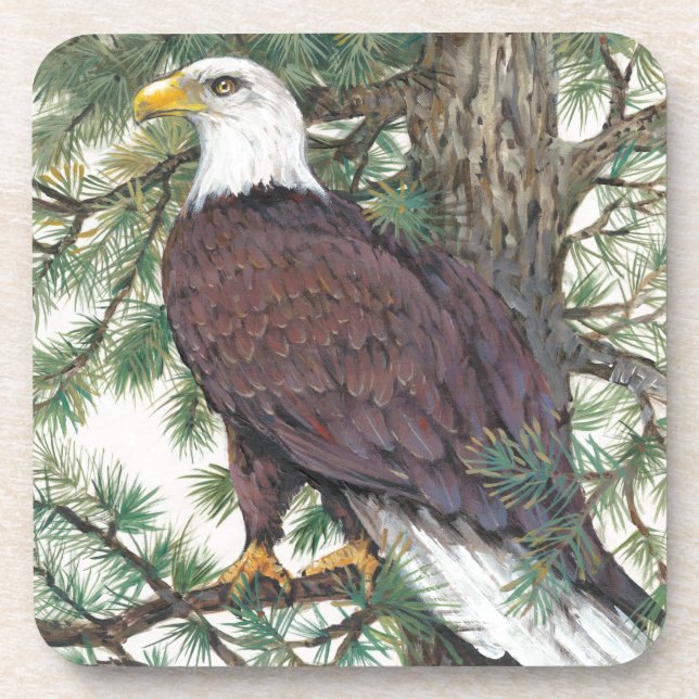 Bald Eagle on Branch Beverage Coaster (Front)