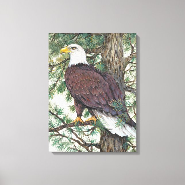 Bald Eagle on Branch Canvas Print (Front)