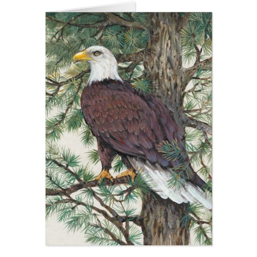 Bald Eagle on Branch Cards (Front)