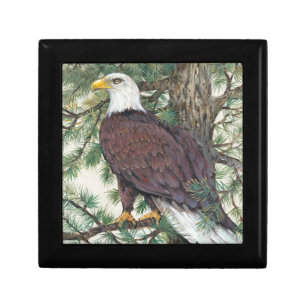 Bald Eagle on Branch Jewelry Box