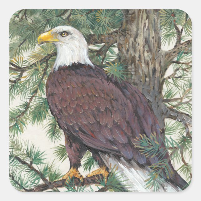 Bald Eagle on Branch Square Sticker (Front)