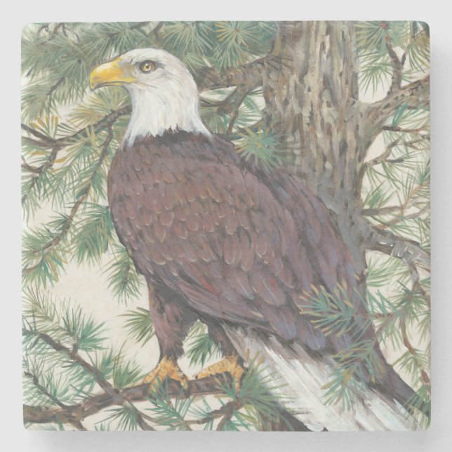 Bald Eagle on Branch Stone Coaster (Front)