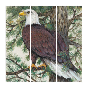 Bald Eagle on Branch Triptych