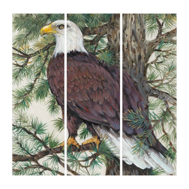 Bald Eagle on Branch Triptych (Front)