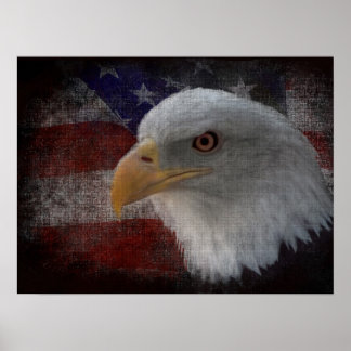 Bald Eagle on Flag Print