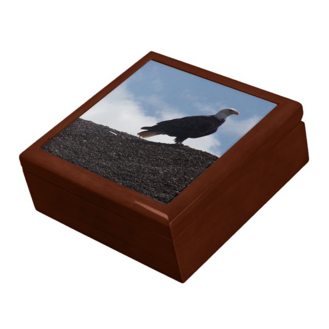Bald Eagle on High Ground Wooden Keepsake Box (Side)