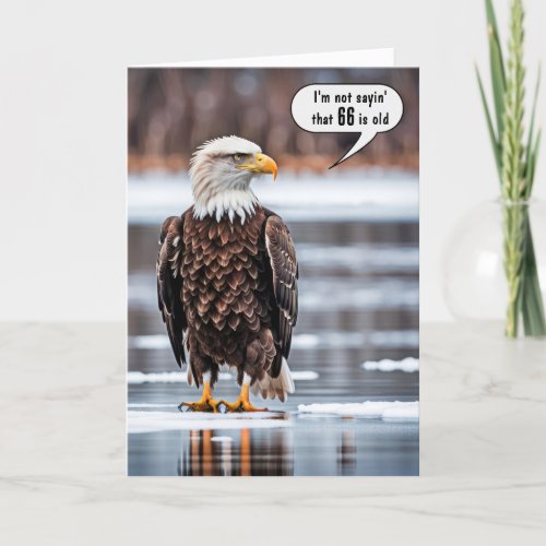 Bald Eagle On Ice For 66th Birthday Card