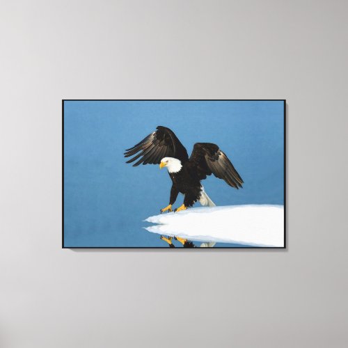 Bald Eagle on ice Wrapped Canvas Print