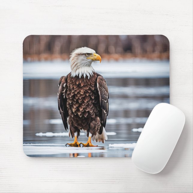 Bald Eagle On Lake Ice Mouse Pad (With Mouse)