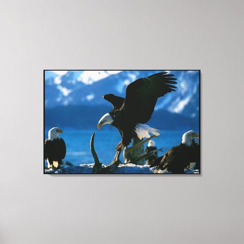 Bald Eagle on log Wrapped Canvas Print