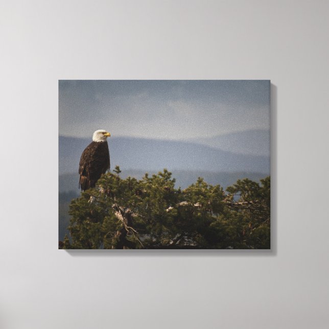 Bald Eagle on Tree Top  Wrapped Canvas Print (Front)