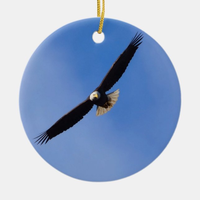 Bald Eagle Ornament (Front)