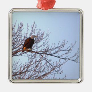 Bald Eagle Ornament 